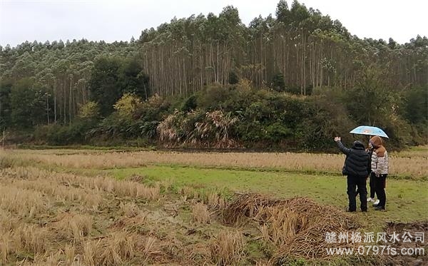 贺州市陈老师带着爱徒寻龙点穴